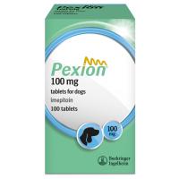 Пексион 100 мг 100 таблеток